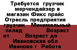 Требуется  грузчик-мерчендайзер в магазин Фикс прайс › Отрасль предприятия ­ грузчик › Минимальный оклад ­ 18 000 › Возраст от ­ 18 › Возраст до ­ 35 - Ивановская обл., Иваново г. Работа » Вакансии   